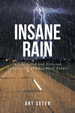 Insane Rain - Seter, Art