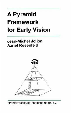 A Pyramid Framework for Early Vision - Jolion, Jean-Michel; Rosenfeld, Azriel