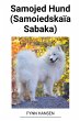 Samojed Hund (Samoiedskaïa Sabaka) - Bild 1