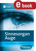 Sinnesorgan Auge (eBook, PDF)