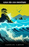 Cada Día Con Propósito (eBook, ePUB)