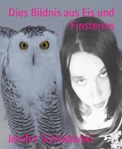 Dies Bildnis aus Eis und Finsternis (eBook, ePUB)