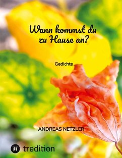 Wann kommst du zu Hause an? - Netzler, Andreas