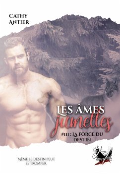 Les âmes jumelles - Tome 3 (eBook, ePUB) - Antier, Cathy