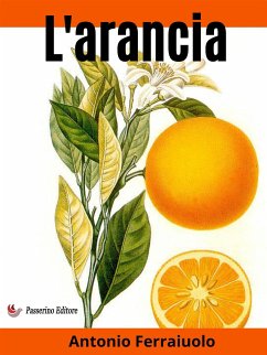 L'arancia (eBook, ePUB) - Ferraiuolo, Antonio