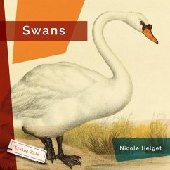 Swans - Helget, Nicole