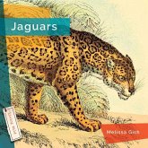 Jaguars