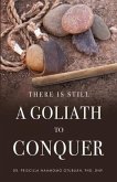 There is Still a Goliath to Conquer