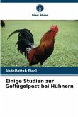 Einige Studien zur Geflügelpest bei Hühnern