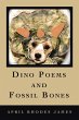 Dino Poems and Fossil Bones - Bild 1