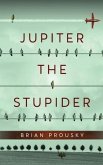 Jupiter the Stupider