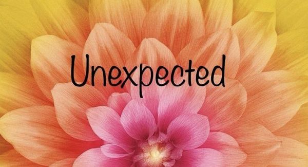 Unexpected (eBook, ePUB) Unexpected (eBook, ePUB)
