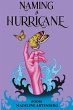 Naming a Hurricane - Bild 1