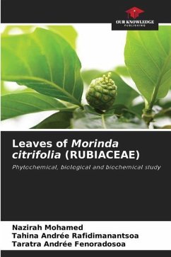 Leaves of Morinda citrifolia (RUBIACEAE) - MOHAMED, Nazirah;Rafidimanantsoa, Tahina Andrée;Fenoradosoa, Taratra Andrée