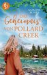 Das Geheimnis von Pollard Creek - Bild 1