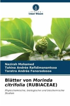 Blätter von Morinda citrifolia (RUBIACEAE) - MOHAMED, Nazirah;Rafidimanantsoa, Tahina Andrée;Fenoradosoa, Taratra Andrée