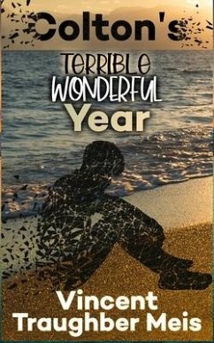 Colton's Terrible Wonderful Year - Traughber Meis, Vincent