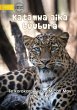 Big Cats - Katamwa aika buubura (Te... - Bild 1