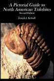 Pictorial Guide to North American Trilobites