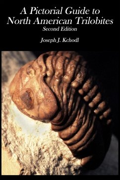 Pictorial Guide to North American Trilobites - Kchodl, Joseph J.