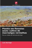Plantio em florestas azuis: cultivo de macroalgas vermelhas