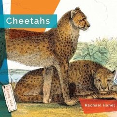 Cheetahs - Hanel, Rachael