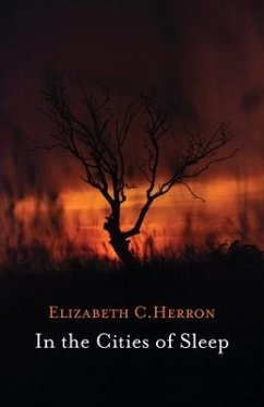 In the Cities of Sleep - Herron, Elizabeth