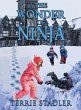 The Wonder of Ninja - Bild 1