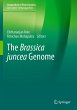 The Brassica juncea Genome - Bild 1