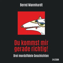 Du kommst mir gerade richtig! (MP3-Download) - Mannhardt, Bernd