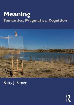Cover Meaning (eBook, ePUB)