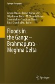 Floods in the Ganga–Brahmaputra–Meghna Delta (eBook, PDF)