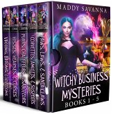 Witchy Business Mysteries: Books 1-5 (eBook, ePUB)