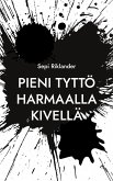 Pieni tyttö harmaalla kivellä (eBook, ePUB)