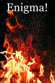 Enigma! (eBook, ePUB)