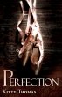 Perfection (eBook, ePUB) - Bild 1