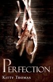 Perfection (eBook, ePUB)