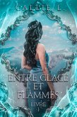 Entre glace et flammes (eBook, ePUB)