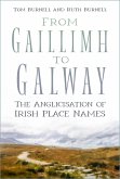 From Gaillimh to Galway (eBook, ePUB)