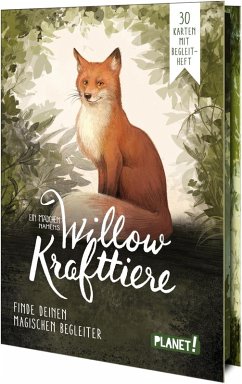 Ein Mädchen namens Willow: Krafttiere - Bohlmann, Sabine