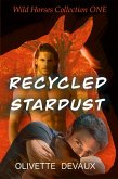 Recycled Stardust - Wild Horses Collection One (eBook, ePUB)