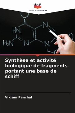 Synthèse et activité biologique de fragments portant une base de schiff - Panchal, Vikram