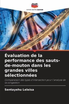 Évaluation de la performance des sauts-de-mouton dans les grandes villes sélectionnées - Leleisa, Sentayehu