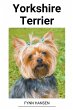 Yorkshire Terrier - Bild 1