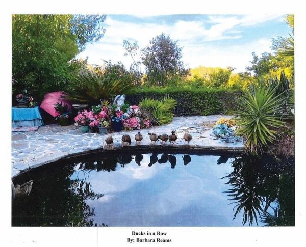 Ducks in a Row Ducks in a Row