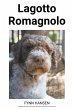 Lagotto Romagnolo - Bild 1
