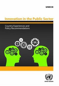 Innovation in the Public Sector: Country Experiences and Policy Recommendations