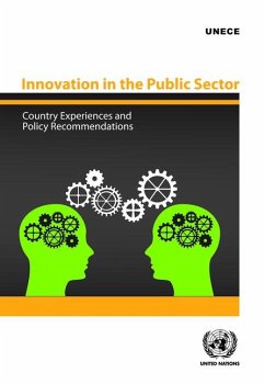 Innovation in the Public Sector