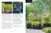 CULTIVO EN BOLSAS CULTIVO EN BOLSAS