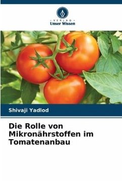 Die Rolle von Mikronährstoffen im Tomatenanbau - Yadlod, Shivaji
